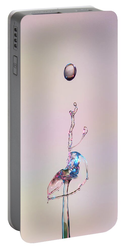 Water Portable Battery Charger featuring the photograph Ostrich by Sue Leonard