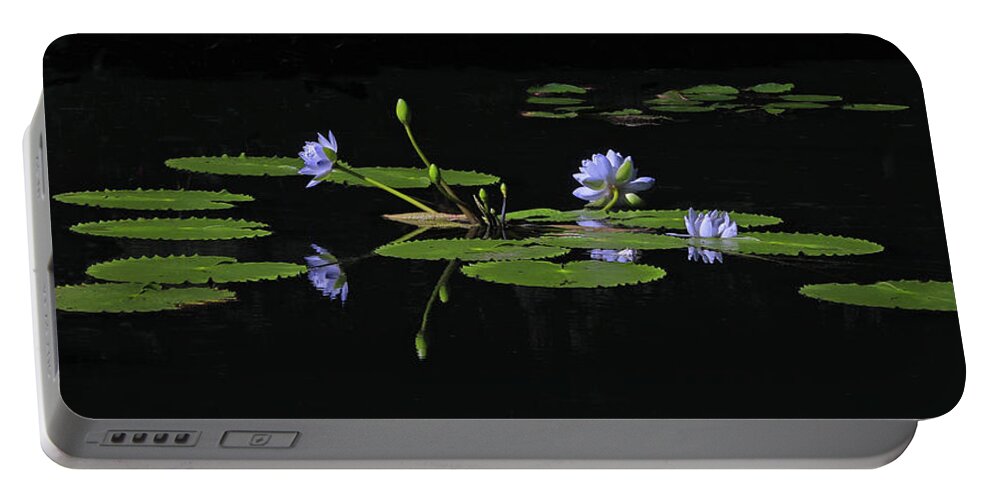 Water Lily Portable Battery Charger featuring the photograph Water Lilies 1 by Richard Krebs