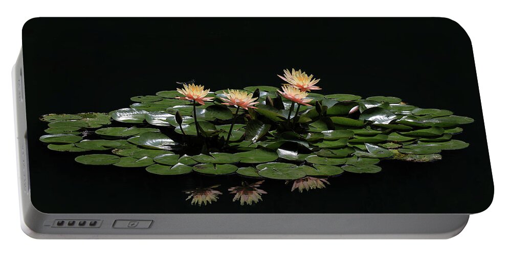 Water Lily Portable Battery Charger featuring the photograph Water Lilies 8 by Richard Krebs