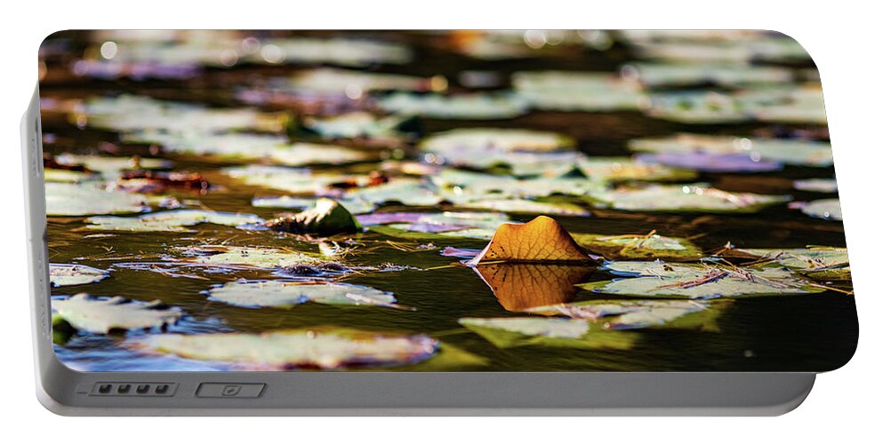 Landscapes Portable Battery Charger featuring the photograph Water Lilies in Autumn by Amelia Pearn