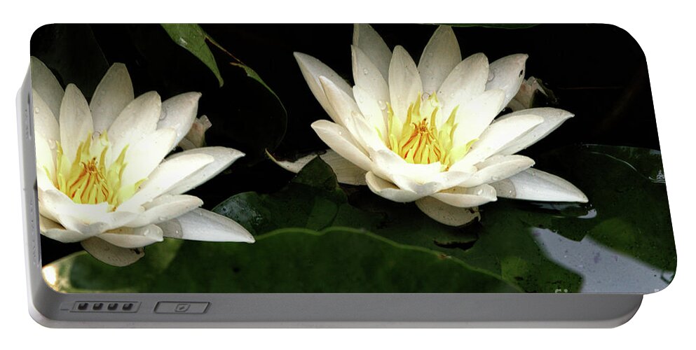 Water Portable Battery Charger featuring the photograph Water Lilly Duo by Baggieoldboy