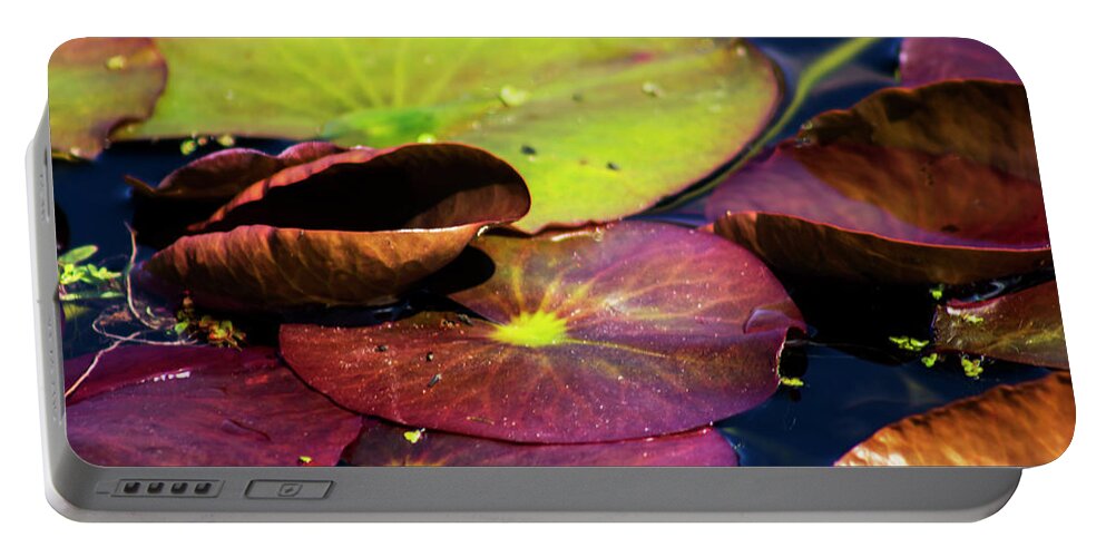 Landscape Portable Battery Charger featuring the photograph Water Lily Pads in Spring by Ruth Crofts Photography
