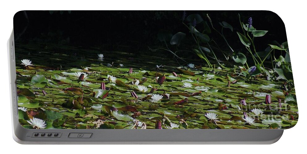 Pond Portable Battery Charger featuring the photograph Water Lily Pond Panoramic by Margie Avellino
