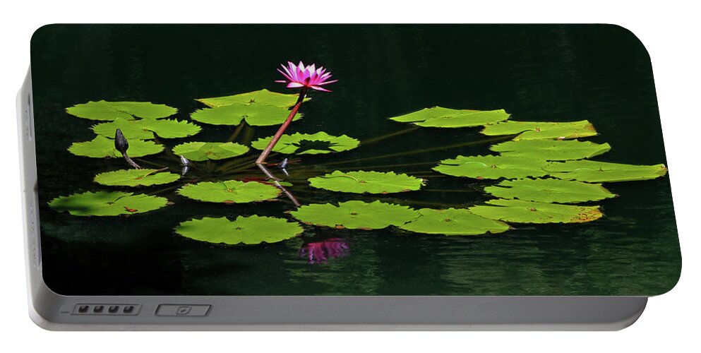 Water Lily Portable Battery Charger featuring the photograph Water Lily 4 by Richard Krebs