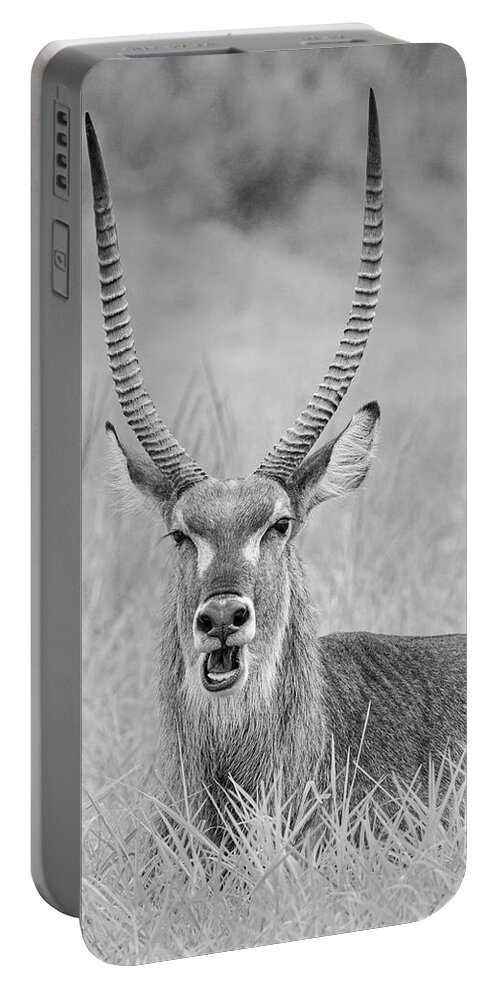 Elephant Coast Portable Battery Charger featuring the photograph Waterbuck by Maresa Pryor-Luzier