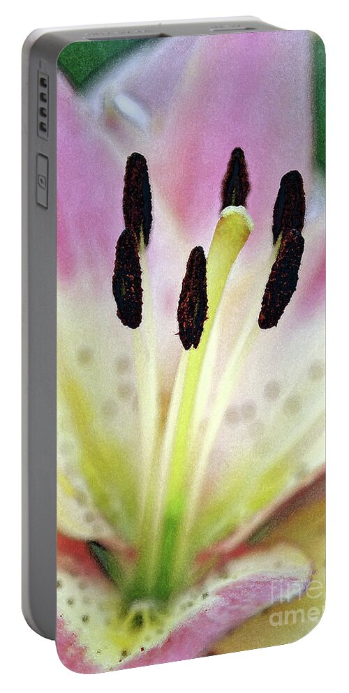 Lily; Pastel; Watercolor; Tropical; Flower; Flower Petals; Petals; Vertical; Macro; Close-up; Stamen; Stigma; Portable Battery Charger featuring the digital art Watercolor Lily 1 by Tina Uihlein
