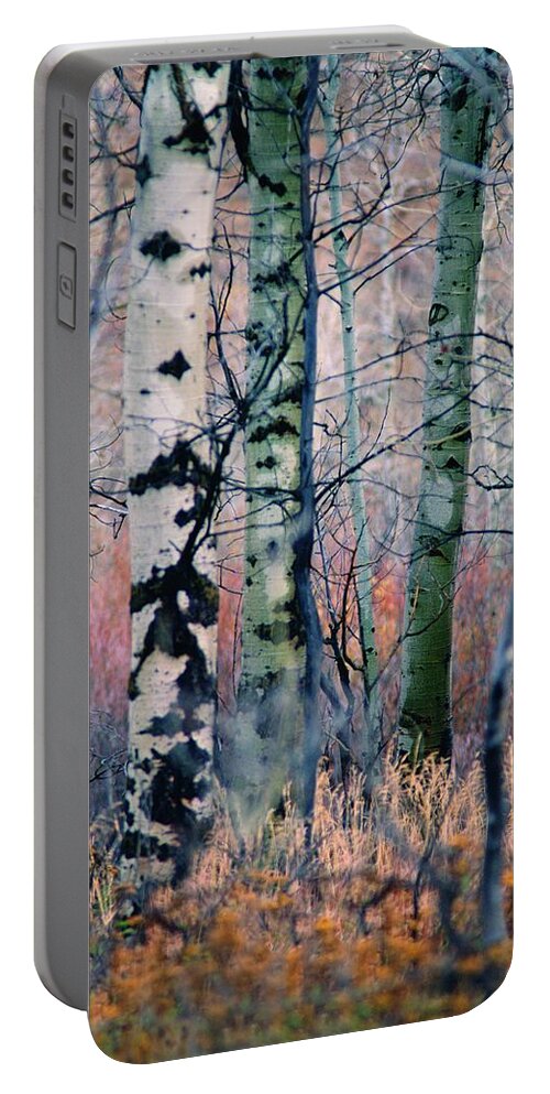 Inspirational Portable Battery Charger featuring the photograph Watercolor Woods, Oxbow Bend, Wyoming by Bonnie Colgan