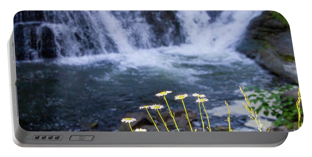 Waterfall Portable Battery Charger featuring the photograph Waterfall Daisies by William Norton
