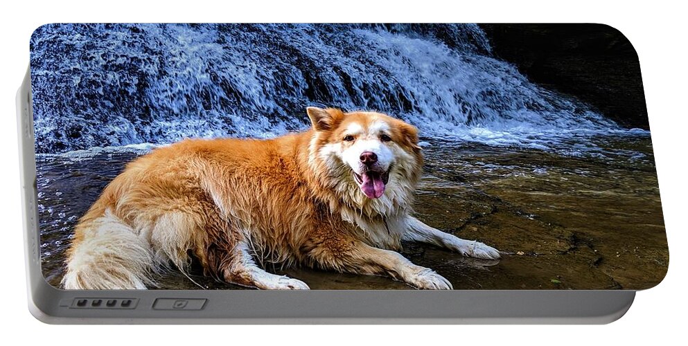  Portable Battery Charger featuring the photograph Waterfall Doggy by Brad Nellis