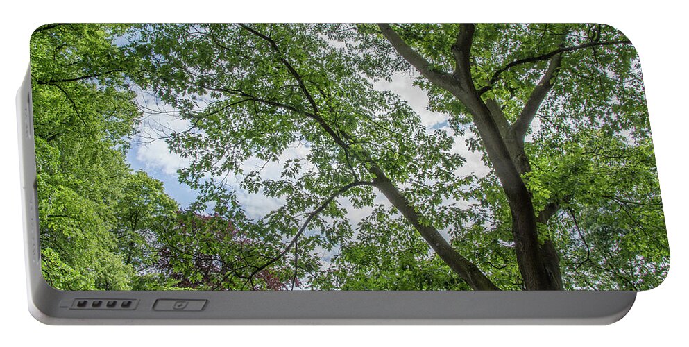 Waterlow Park Portable Battery Charger featuring the photograph Waterlow Park Trees Summer by Edmund Peston