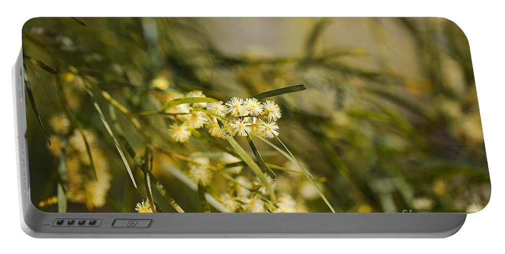 Acacia Portable Battery Charger featuring the photograph Wattle Tree Spring Flowers by Joy Watson