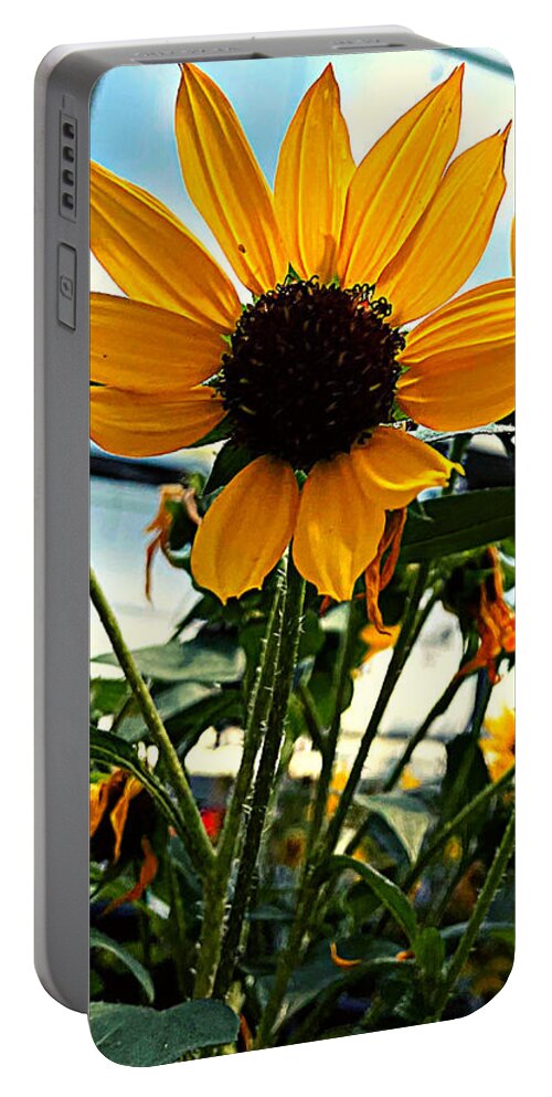 Flower Portable Battery Charger featuring the photograph We Grow Happiness by Lee Darnell