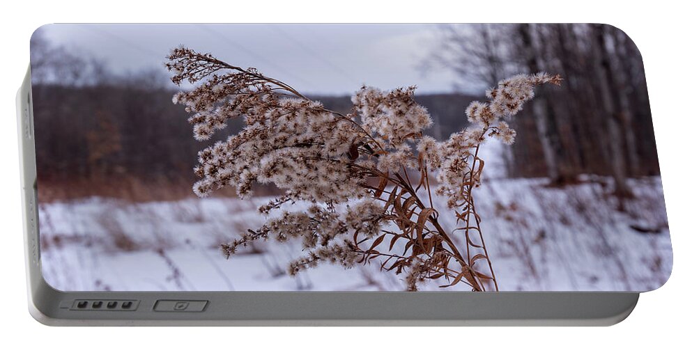 No People Portable Battery Charger featuring the photograph Weed in the Cold winter by Nathan Wasylewski