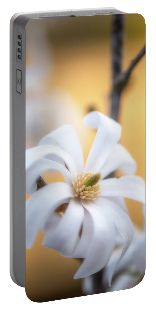 Flowers Portable Battery Charger featuring the photograph Welcome To The Story by Philippe Sainte-Laudy