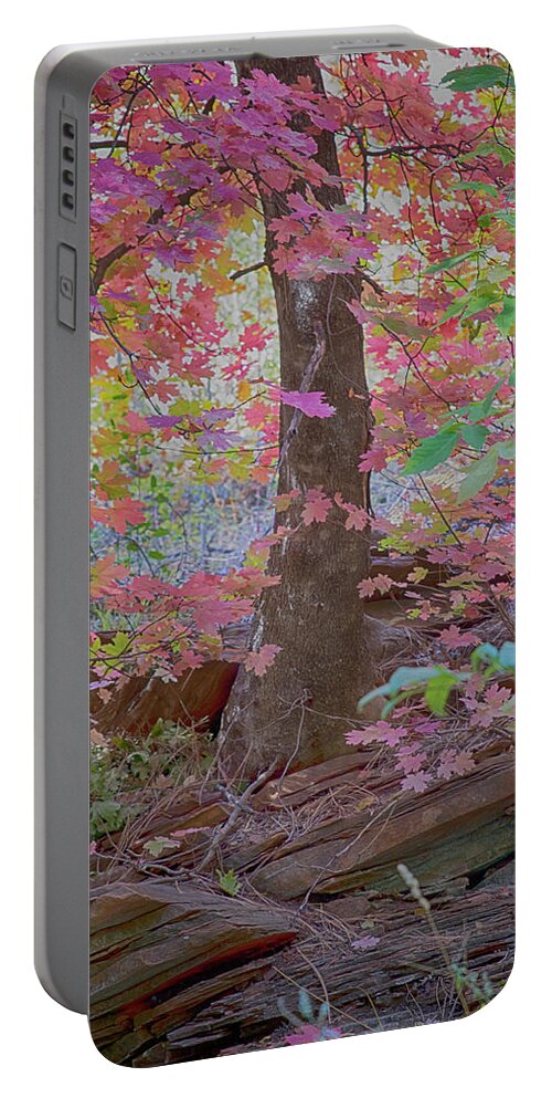 Oak Creek Canyon Portable Battery Charger featuring the photograph Westfork Dreams by Tom Kelly