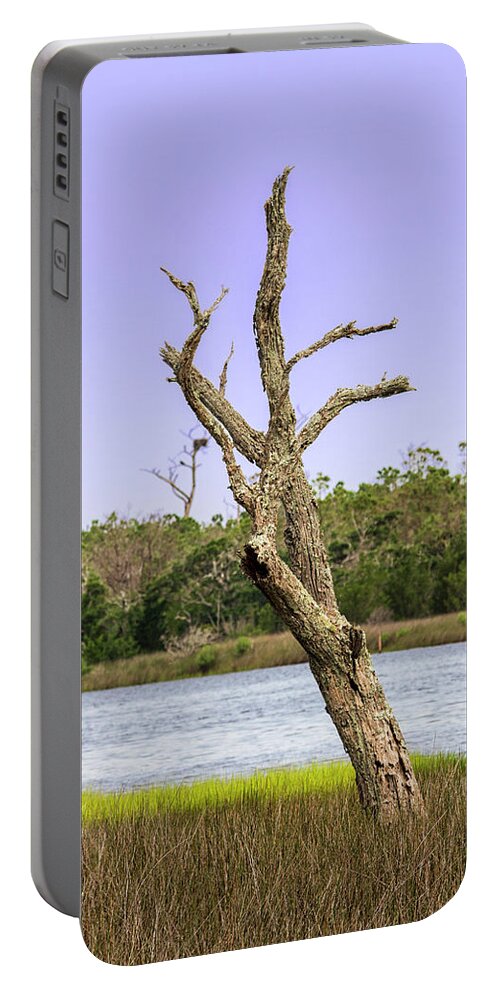 Tree Portable Battery Charger featuring the photograph Wetlands Dead Tree Revisited by Bob Decker