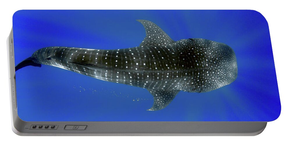 Whale Shark Portable Battery Charger featuring the photograph Whale shark by Artesub