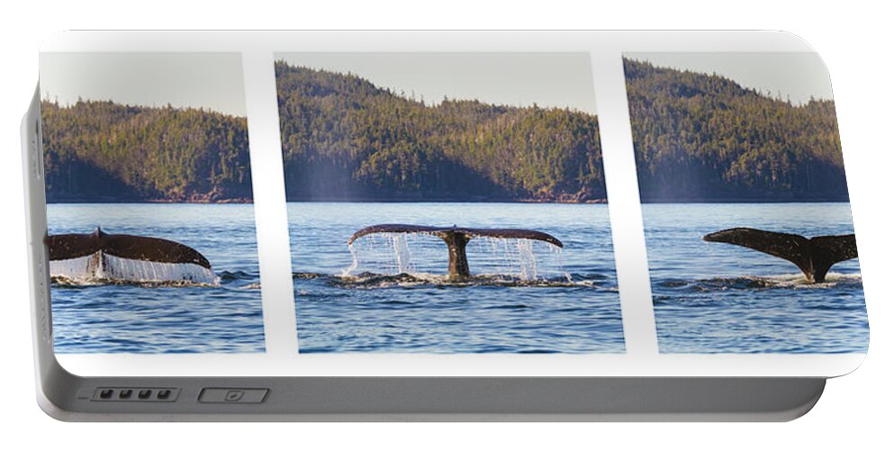 Whale Portable Battery Charger featuring the photograph Whale Tale Trio by Michael Rauwolf