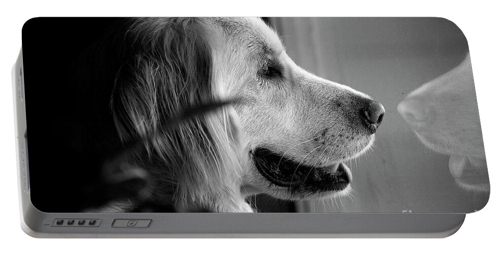 Dog Portable Battery Charger featuring the photograph What Dogs Teach Us by Frank J Casella