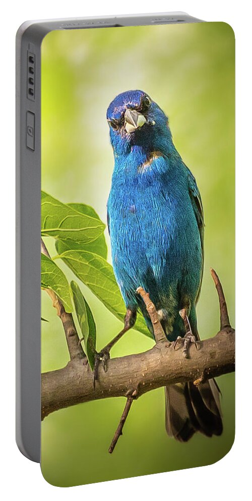 2018 Portable Battery Charger featuring the photograph Whatcha Lookin' At? by Erin K Images