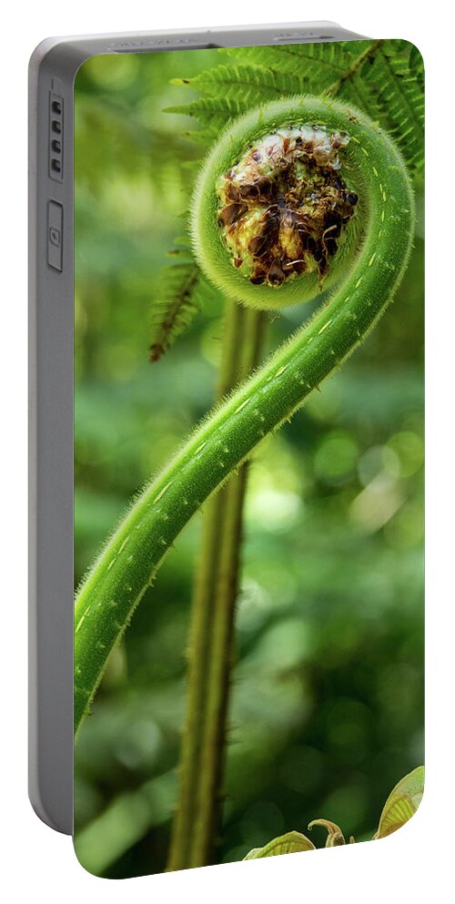 Spring Portable Battery Charger featuring the photograph What's New Fiddlehead by Leslie Struxness