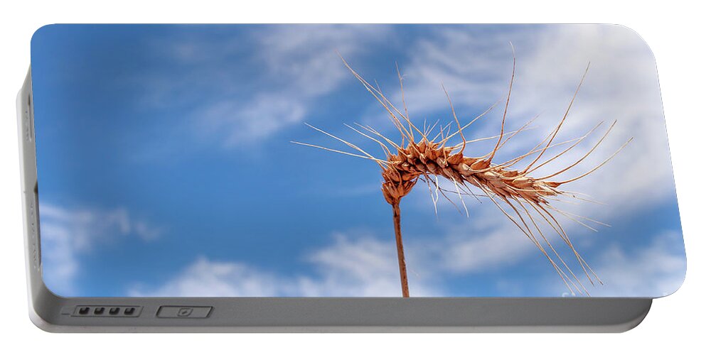 Wheat Portable Battery Charger featuring the photograph Wheat by Daniel M Walsh