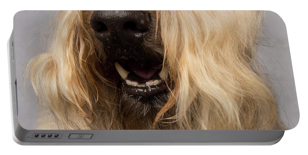 Wheaten Portable Battery Charger featuring the photograph Wheaten Face Mask 4 by Rebecca Cozart