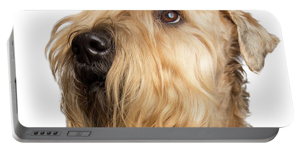 Wheaten Portable Battery Charger featuring the photograph Wheaten Face Mask 6 by Rebecca Cozart
