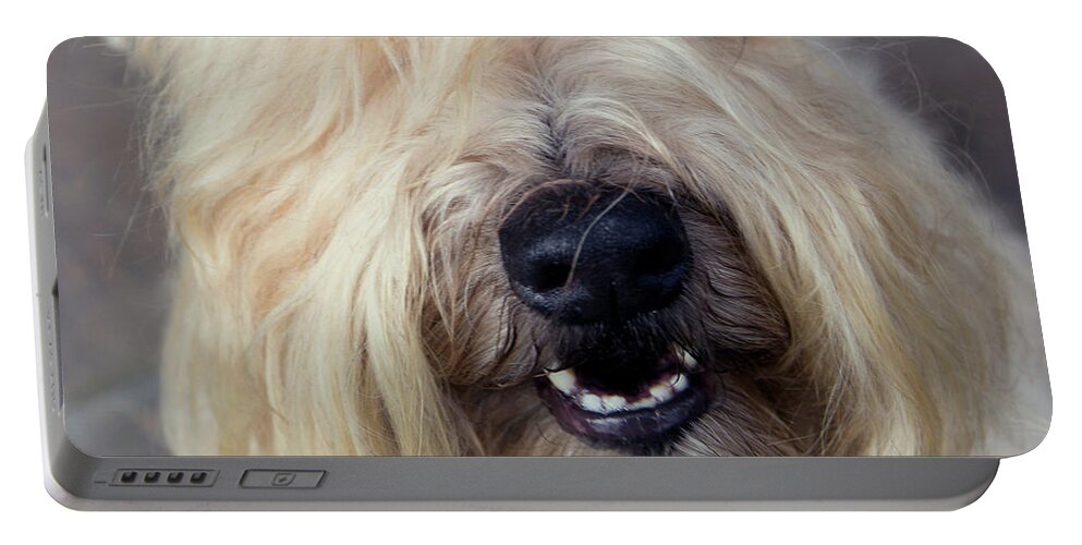Wheaten Portable Battery Charger featuring the photograph Wheaten Face Mask 2 by Rebecca Cozart