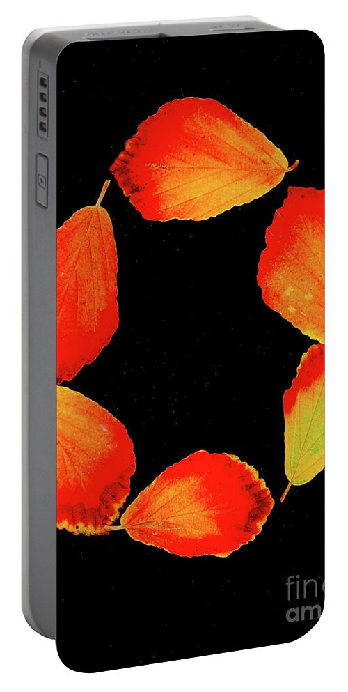 Autumn Colour Portable Battery Charger featuring the photograph Wheel of Fire by Marilyn Cornwell