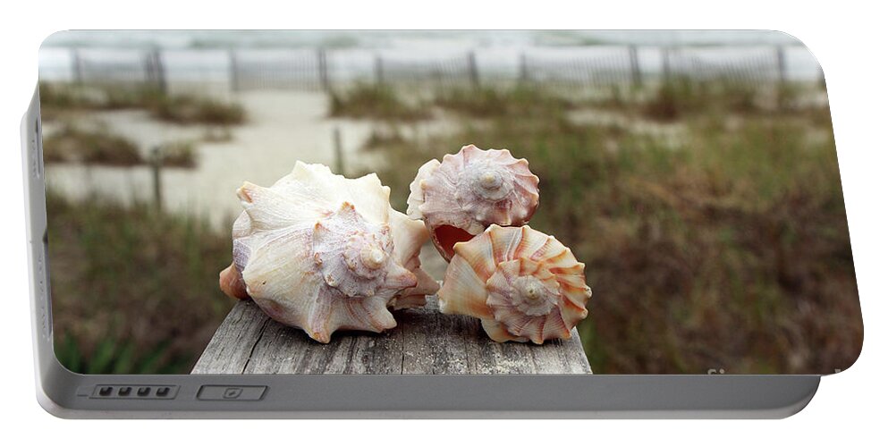 Treasures Portable Battery Charger featuring the photograph Whelk Shells 6954 by Jack Schultz