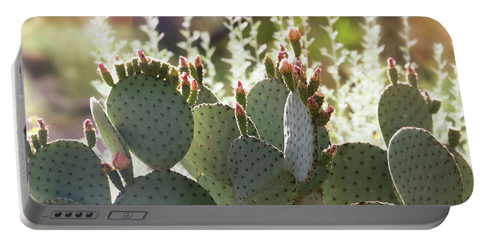 Prickly Pear Cactus Portable Battery Charger featuring the photograph When Prickly And Beautiful Meet by Saija Lehtonen