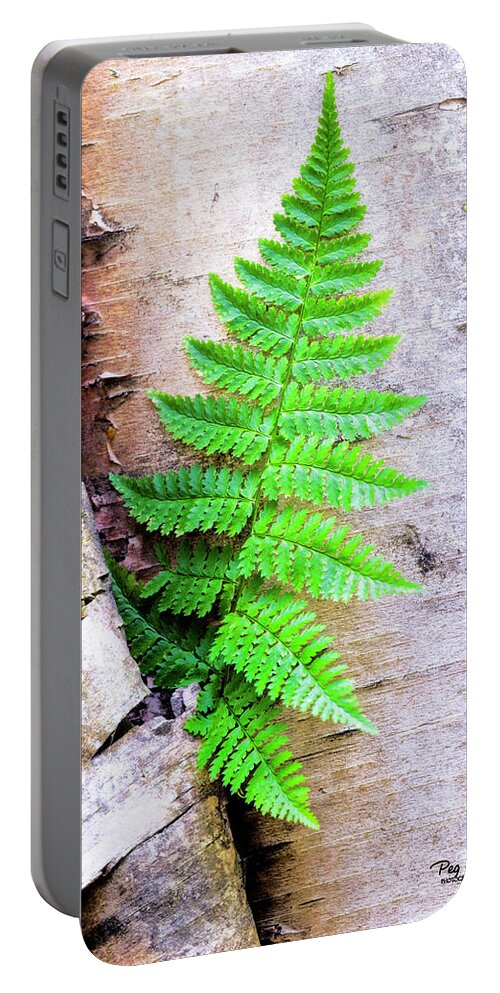 Birch Tree Portable Battery Charger featuring the photograph Where the Green Fern Grows by Peg Runyan