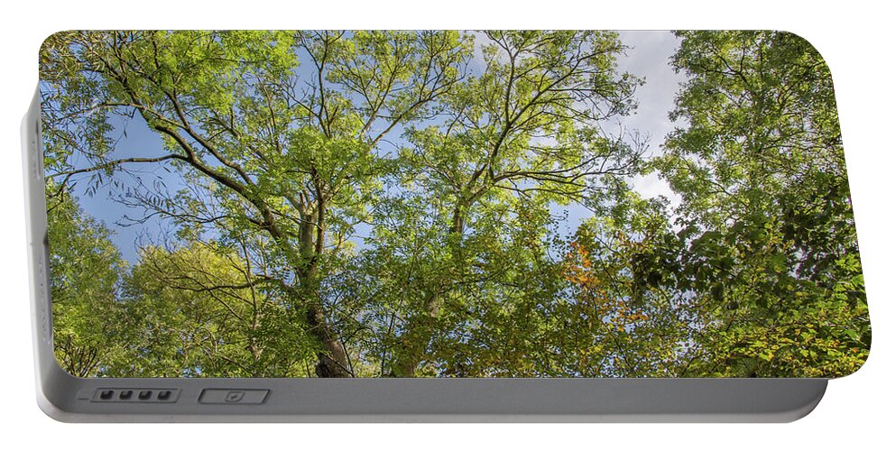 Whetstone Stray Portable Battery Charger featuring the photograph Whetstone Stray Trees Fall 11 by Edmund Peston