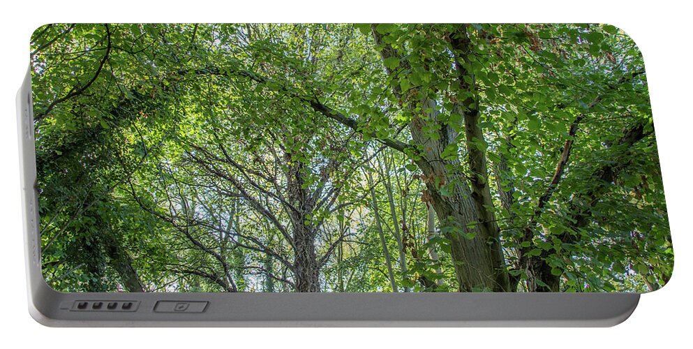 Whetstone Stray Portable Battery Charger featuring the photograph Whetstone Stray Trees Fall 15 by Edmund Peston