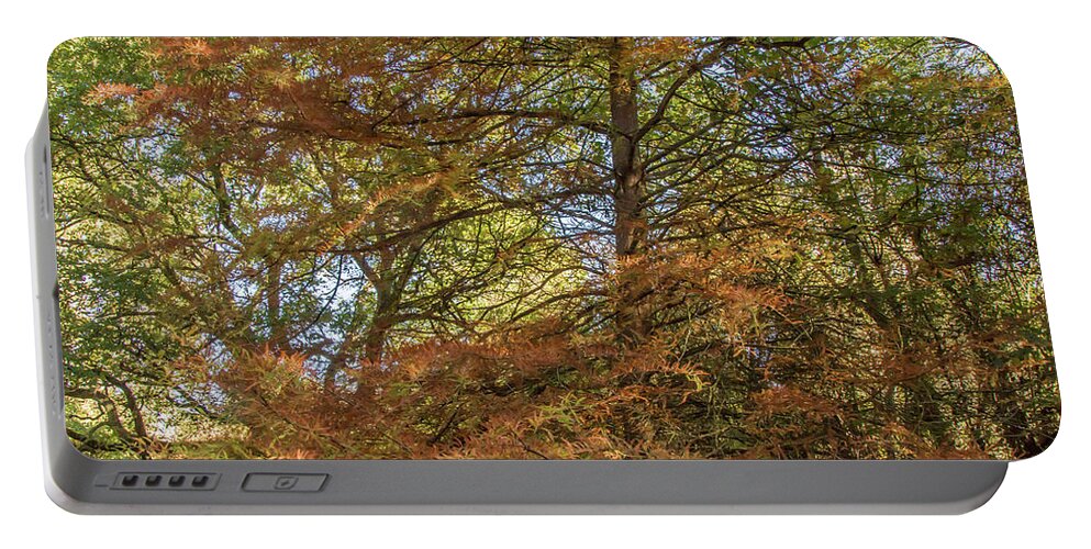 Whetstone Stray Portable Battery Charger featuring the photograph Whetstone Stray Trees Fall 3 by Edmund Peston