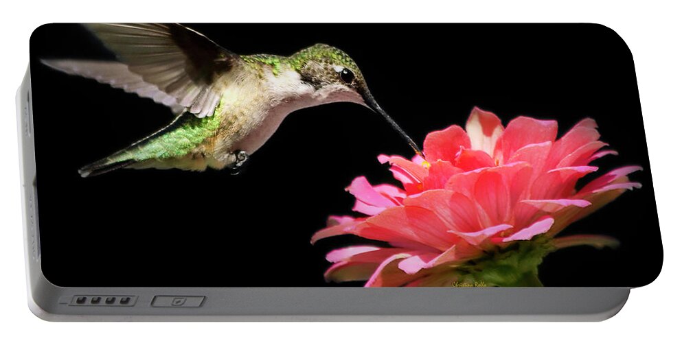 Hummingbirds Portable Battery Charger featuring the photograph Whispering Hummingbird Square by Christina Rollo
