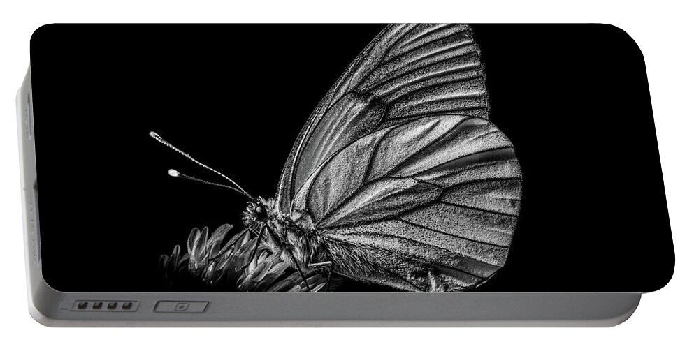 Animal Portable Battery Charger featuring the photograph White Beauty among Butterflies by Stan Weyler