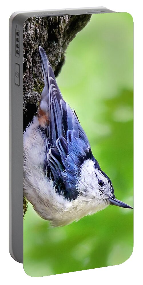 Nuthatch Portable Battery Charger featuring the photograph White Breasted Nuthatch by Christina Rollo