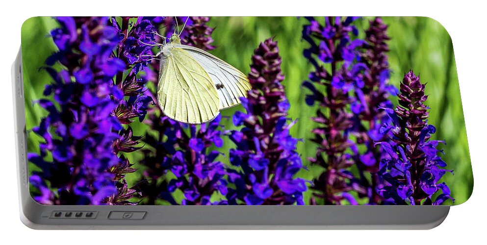 Flowers Portable Battery Charger featuring the photograph White Butterfly by Louis Dallara
