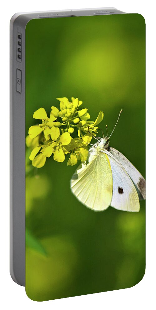Butterfly Portable Battery Charger featuring the photograph White Butterfly On Yellow Flower by Christina Rollo