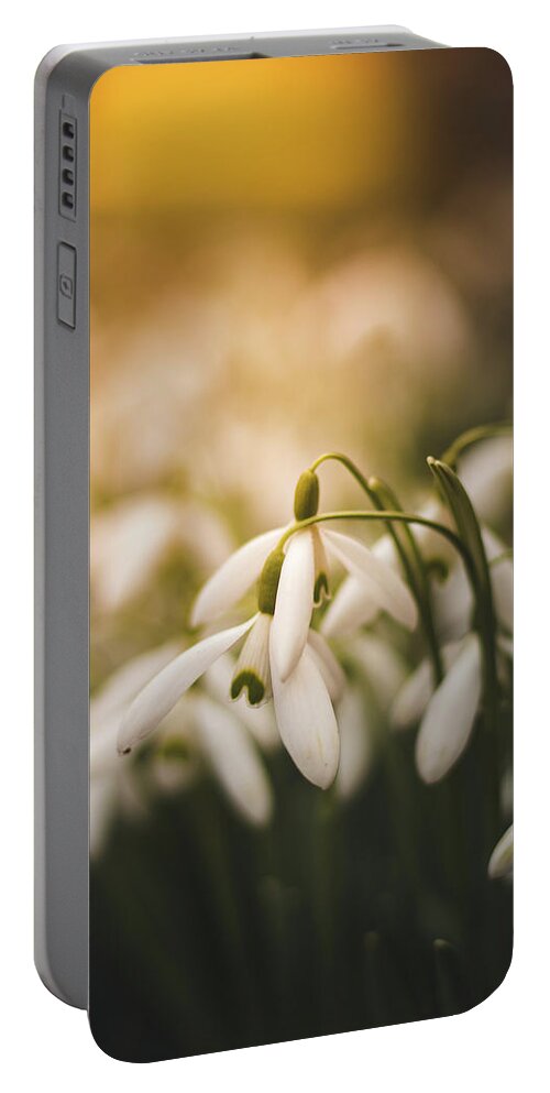 Europe Portable Battery Charger featuring the photograph White common snowdrop - prank of nature by Vaclav Sonnek