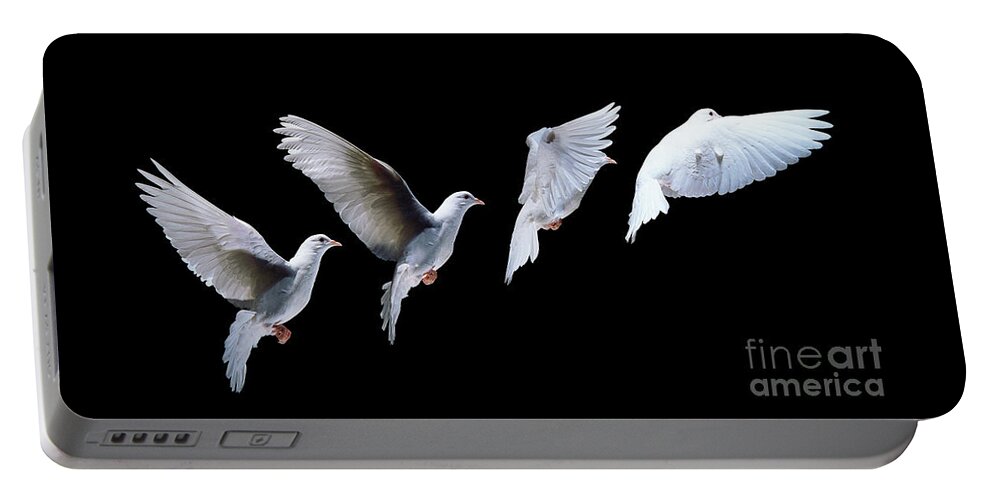 Columba Livia Portable Battery Charger featuring the photograph White dove in flight multiple exposure by Warren Photographic