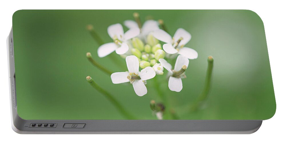 Flower Portable Battery Charger featuring the photograph White Flower by Amelia Pearn