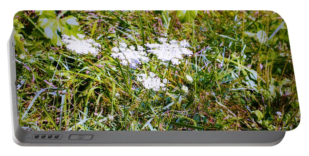 White Flowers Portable Battery Charger featuring the photograph White Flowers in the Prairie - Square by Frank J Casella