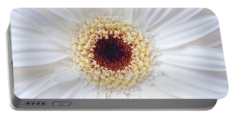 Nature Portable Battery Charger featuring the photograph White Gerber Flower by Julia Hiebaum