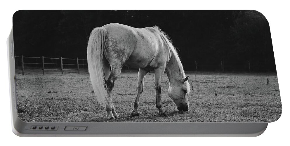 Horse Portable Battery Charger featuring the photograph White Grazing Horse in Black and White by Nicklas Gustafsson