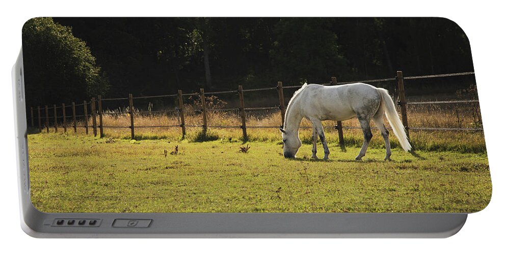 Horse Portable Battery Charger featuring the photograph White Grazing Horse by Nicklas Gustafsson