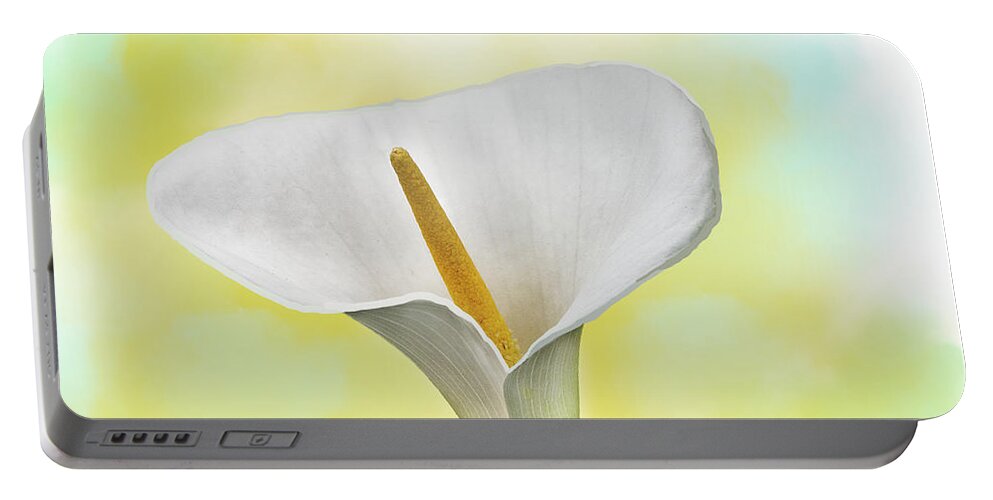 Spring Portable Battery Charger featuring the mixed media White Lily by Moira Law