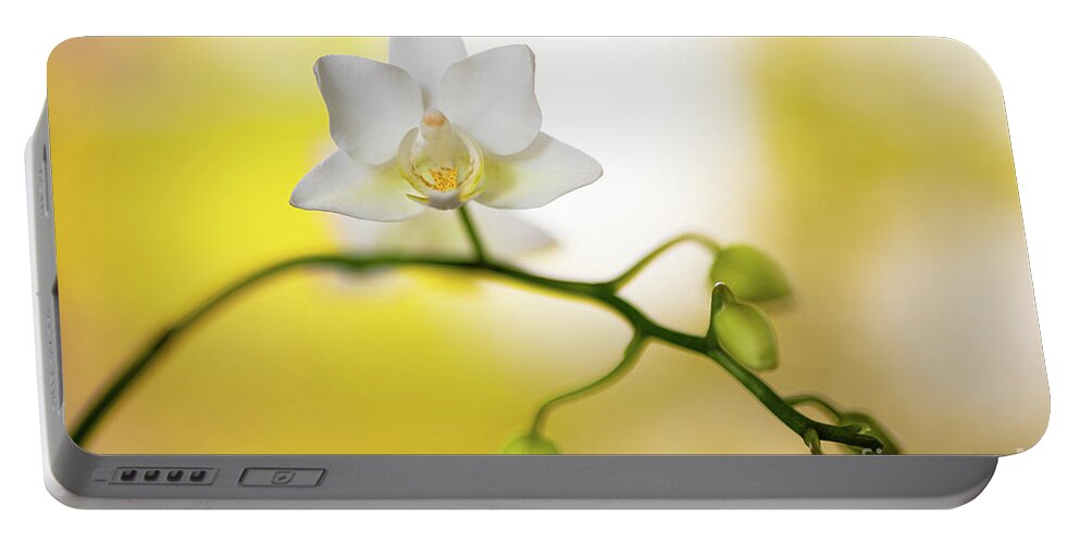 Background Portable Battery Charger featuring the photograph White Orchid Flower by Raul Rodriguez